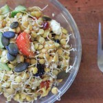 Sprouted lentil salad with lemon recipe | Veggie Mama