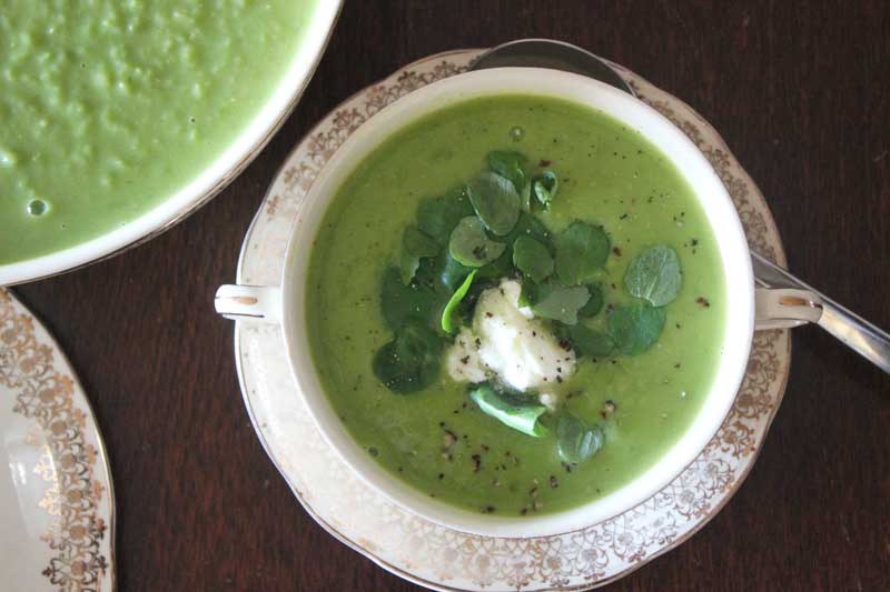Vegetarian Soup: Minted pea with goat cheese and watercress