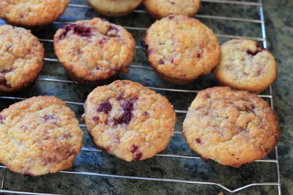 raspberry-coconut-mini-muffins